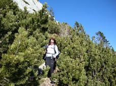 Klik za večjo sliko